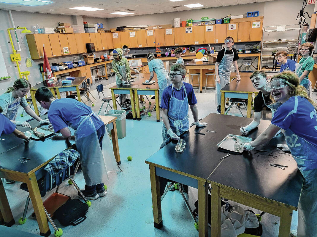 Attack on science: Middle school students dissect sharks - The Daily  Reporter - Greenfield Indiana